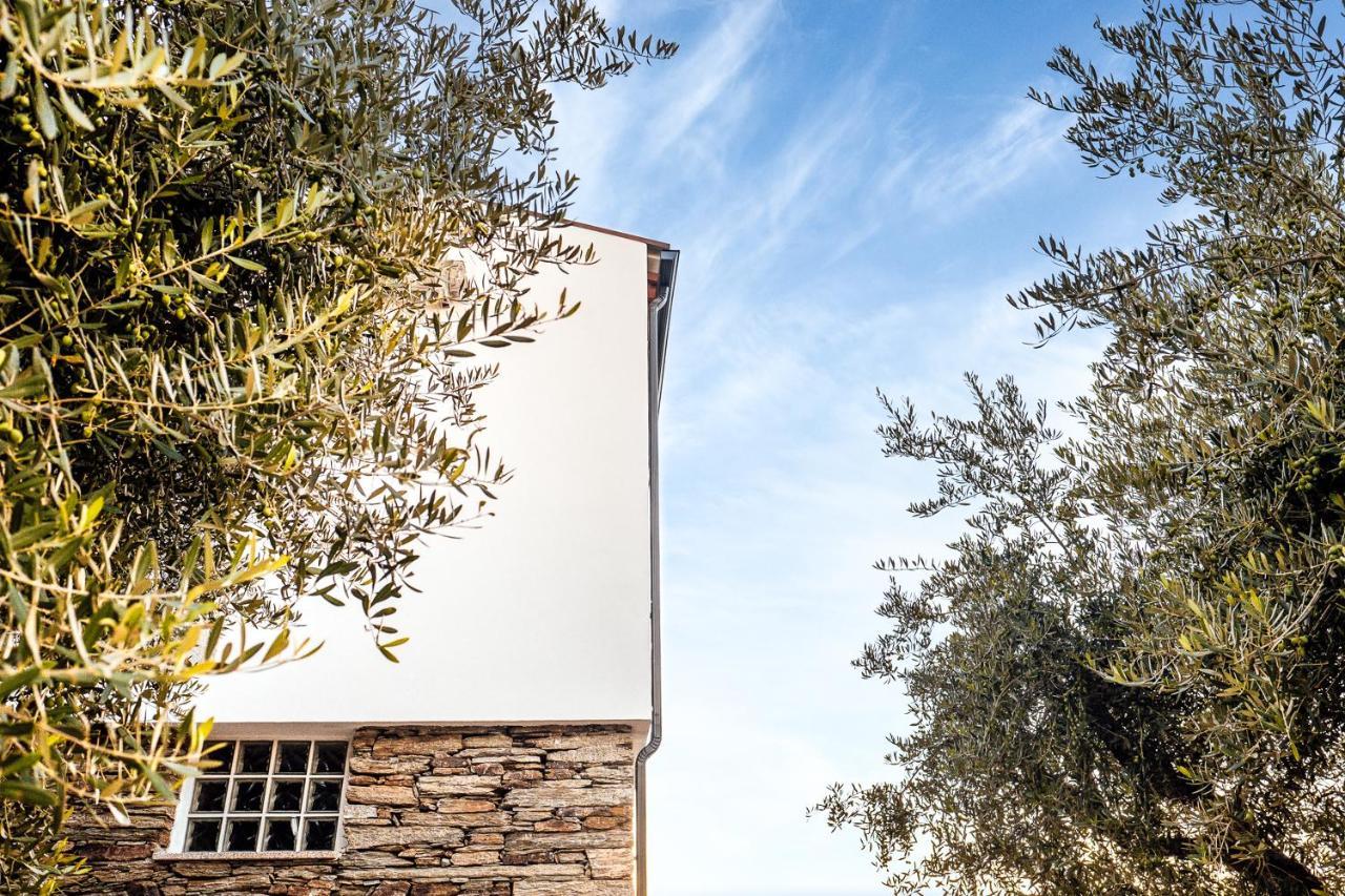 Villa Casa Com Piscina No Coracao Do Douro - Domaine Casa Valenca, Valença do Douro Exterior foto